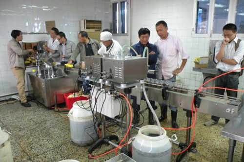 Línea de llenado y tapado de frascos de adobo para restaurantes de cocina de Shanghái